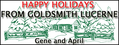 Happy Holidays